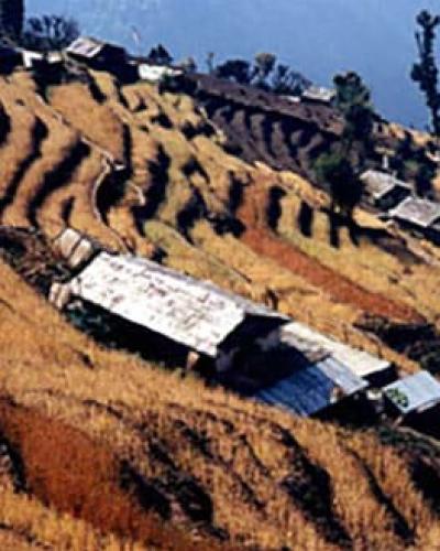 Terraces in Nepal